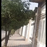 مغازه لب خیابان داخل شهر