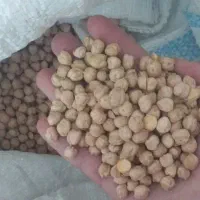 نخد درجه یک