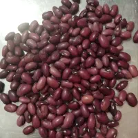 لوبیا قرمز درجه یک زود پز