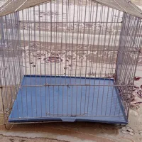 قفس توتی