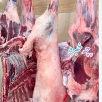 قصابی