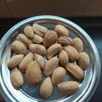 بادام شیرین ارگانیک کیلویی ۷۰۰
