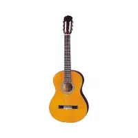 گیتار آریا مدل AKN-15N
