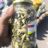 ترشی بیلهر