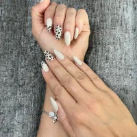 آموزش لاین ناخن با مدرک فنی حرفه ای
