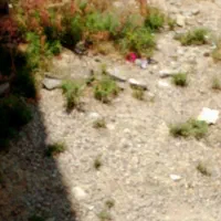 فروش-زمین