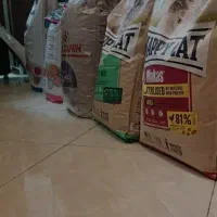 پت شاپ