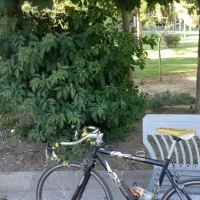 تعویض دوچرخه کورسی با کوهستان