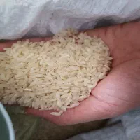 برنج کامفیروزی درجه یک
