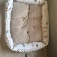 جایی خواب سگ