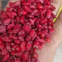 زرشک پفکی صادراتی درجه یک کیلویی