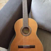 گیتار اسپانیایی فرانسیسکو بروس