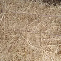 سرچین|لوازم جانبی حیوانات|سنگر, |دیوار
