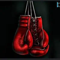 بوکس  کیک بوکسینگ  وینگ‌چون (دفاع شخصی و مبارزه)