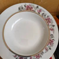 2دست خورش خوری  زرین  سان فلاوربا جعبه جهت کادو