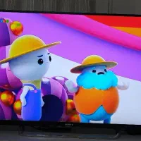 LED SONY