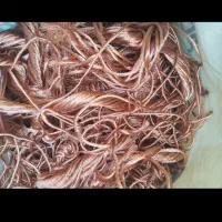 ضایعات صالحی