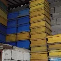 فروش زنبور و وسایل زنبورداری