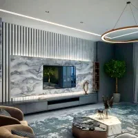 تی وی روم،تی وی وال