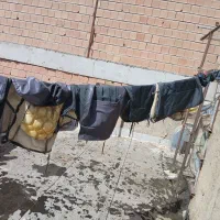 روکش ساینا