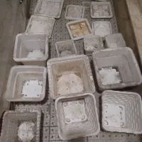 گلدان