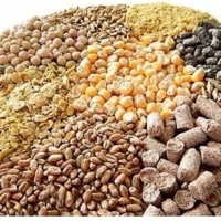 انواع نهاده دامی ذرت جو سویا