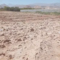 زمین تفت محله حسینی