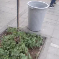 فروشی