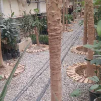 نظافت منزل و آشپزی