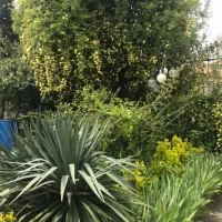 ویلایی ۱۶۳ متر شهرک غرب فاز۴یک از ۵