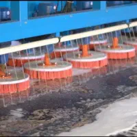 کارخانه قالیشویی تمام اتوماتیک دیلا