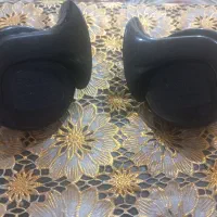 بوق حلزونی رادیانت