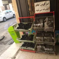 سوپر مارکت