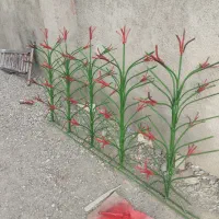 تولیدی بزرگ حفاظ شاخ گوزنی مشهد حفاظ توس
