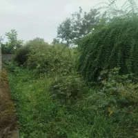 زمین-سند-دار-با-جواز-ساخت-شجاع-محله