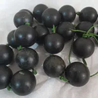 مهره های یشم اصل طبیعی