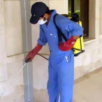 سمپاشی ۱۰۰% تضمینی سوسک ساس موریانه سم پاشی موش