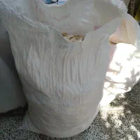 نون خشک