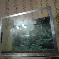 اکواریوم