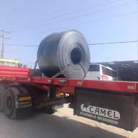 باربری، حمل و نقل، حمل بار،بار دربستی