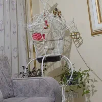 استند گل قفس دار