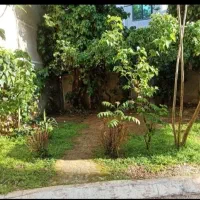 تجربه طبیعت در خانه     دوبلکس     ویلایی