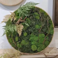 ساخت تابلو های جاودان طبیعی
