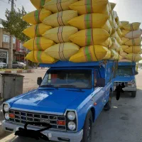 کاه‌.سامان