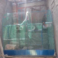 قفس گنبدی معاوضه با مرغ و پرنده