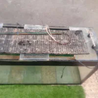 آکواریوم