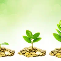 ضامن نیازمندیم