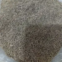 زیره سبز یا همون کراویه