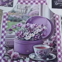 پیشبند ونمگیر وکیسه نان