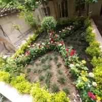خدمات باغبانی کاشت گل وگیاه باغچه کاری خاک گلدون